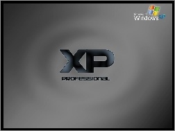 XP, Professional