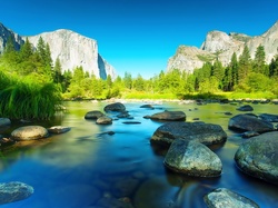 Las, Stan Kalifornia, Park Narodowy Yosemite, Kamienie, Rzeka, Góry, Stany Zjednoczone, Drzewa