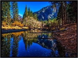 Stan Kalifornia, Lasy, Rzeka, Park Narodowy Yosemite, Stany Zjednoczone, Góry