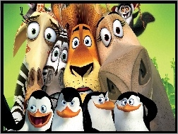 Pingwiny, Żyrafa, Lemur, Lew, Zebra, Madagaskar, Hipopotam