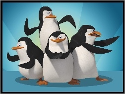 Pingwiny Z Madagaskaru