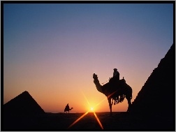 Zachód Słońca, Piramidy, Egipt, wielbłądy