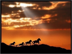 Zachód Słońca, Galop, Konie, Chmury