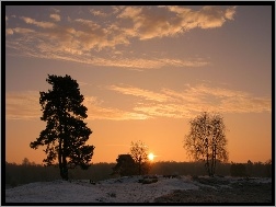 Śnieg, Słońca, Zachód, Drzewa