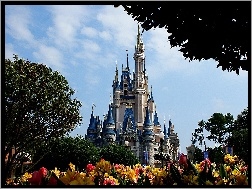 Kwiaty, Zamek, Disneyland