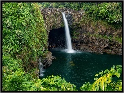 Rzeka, Wodospad Rainbow, Rośliny, Skały, Park Wailuku River, Hawaje, Zarośla