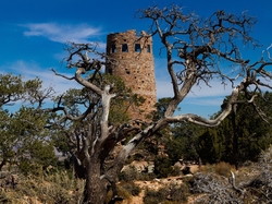 Zarośla, Stan Arizona, Drzewa, Wieża Desert View Watchtower, Park Narodowy Wielkiego Kanionu, Stany Zjednoczone, Niebo