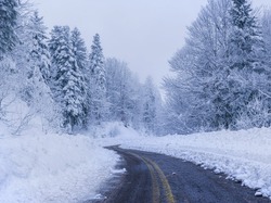 Drzewa, Zima, Śnieg, Zaśnieżone, Droga, Las