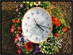 Zegar, Klomb, Trawnik, Kwiatki