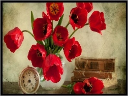 Tulipany, Zegarek, Książki
