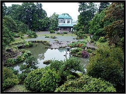 Zieleń, Ogród, Japoński Domek