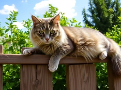 Niebo, Kot, Płot, Zieleń, Puszysty, Grafika AI