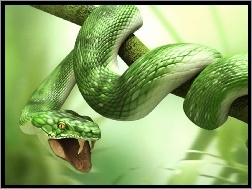 Gałąź, Zielony, Wąż