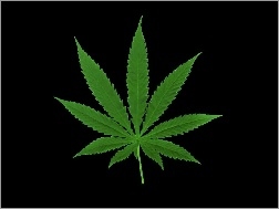 Marihuany, Zielony, Liść