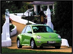 Zielony, Volkswagen New Beetle
