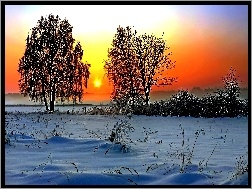 Zima, Promienie, Drzewa, Łąki, Słońca