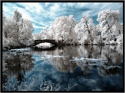 Zima, Rzeka, Drzewa, Białe, Mostek