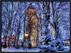 Drzewa, Zima, Kościół