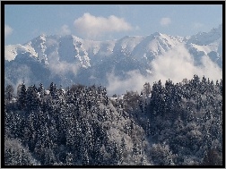 Zima, Mgła, Góry, Las