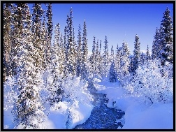 Śnieg, Ośnieżone, Rzeczka, Zima, Drzewa