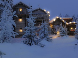 Zima, Domy, Oświetlone, Drzewa