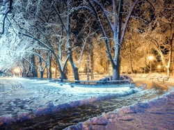 Zima, Alejki, Drzewa, Park, Latarnie