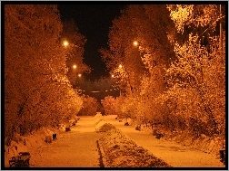 Zima, Drzewa, Park, Latarnie