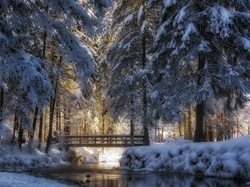 Zima, Ośnieżone, Drzewa, Most, Park, Rzeczka
