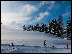 Śnieg, Pole, Zima, Drzewa
