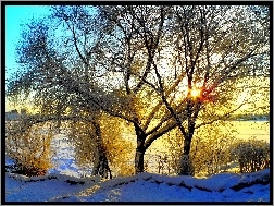 Zima, Promienie, Drzewa, Rzeka, Słońca