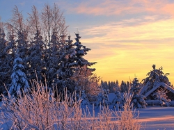 Zima, Drzewa, Dom, Wschód słońca