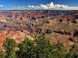 Kanion, Park Narodowy Wielkiego Kanionu, Góry, Stany Zjednoczone, Drzewa, Skały, Arizona, Grand Canyon National Park