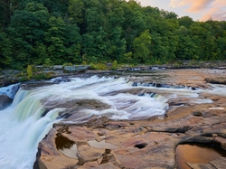 Rzeka, Drzewa, Youghiogheny River, Wodospad, Stany Zjednoczone, Pensylwania, Ohiopyle Falls, Las