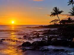 Morze, Wyspa Maui, Zachód słońca, Stany Zjednoczone, Skały, Palmy, Hawaje, Wailea