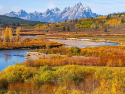 Stan Wyoming, Teton Range, Stany Zjednoczone, Góry, Drzewa, Jesień, Park Narodowy Grand Teton, Las, Krzewy, Rzeka Snake River