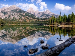 Drzewa, Chmury Odbicie, Wyoming, Góry, Jezioro, Stany Zjednoczone, Park Narodowy Grand Teton, Las, Taggart Lake