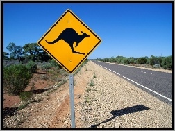 Znak Kangura, Australia, Ulica