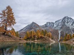 Żółte, Jezioro, Drzewa, Jesień, Szwajcaria, Modrzewie, Góry, Lac Bleu