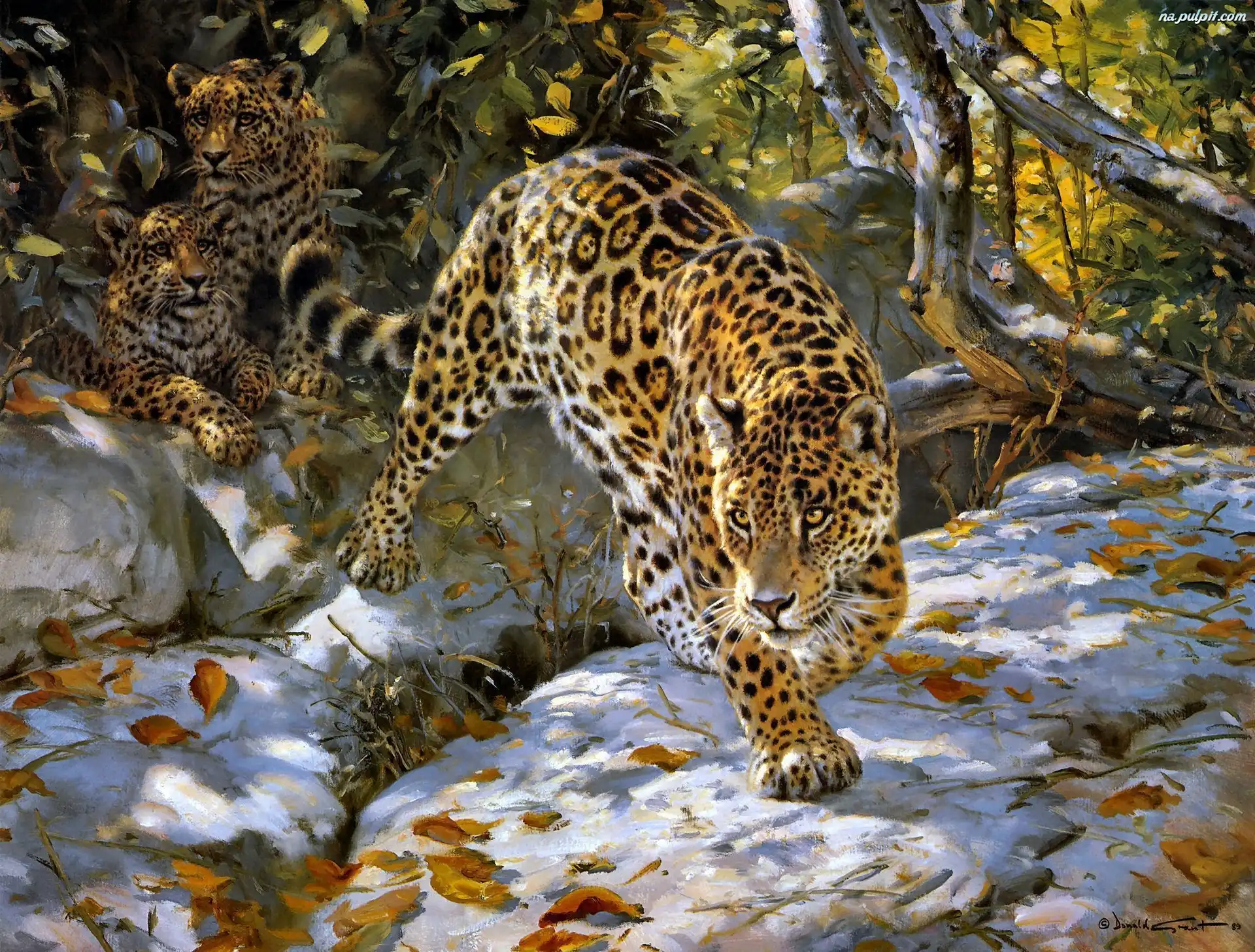 Jaguar, Śnieg, Drzewa, Art