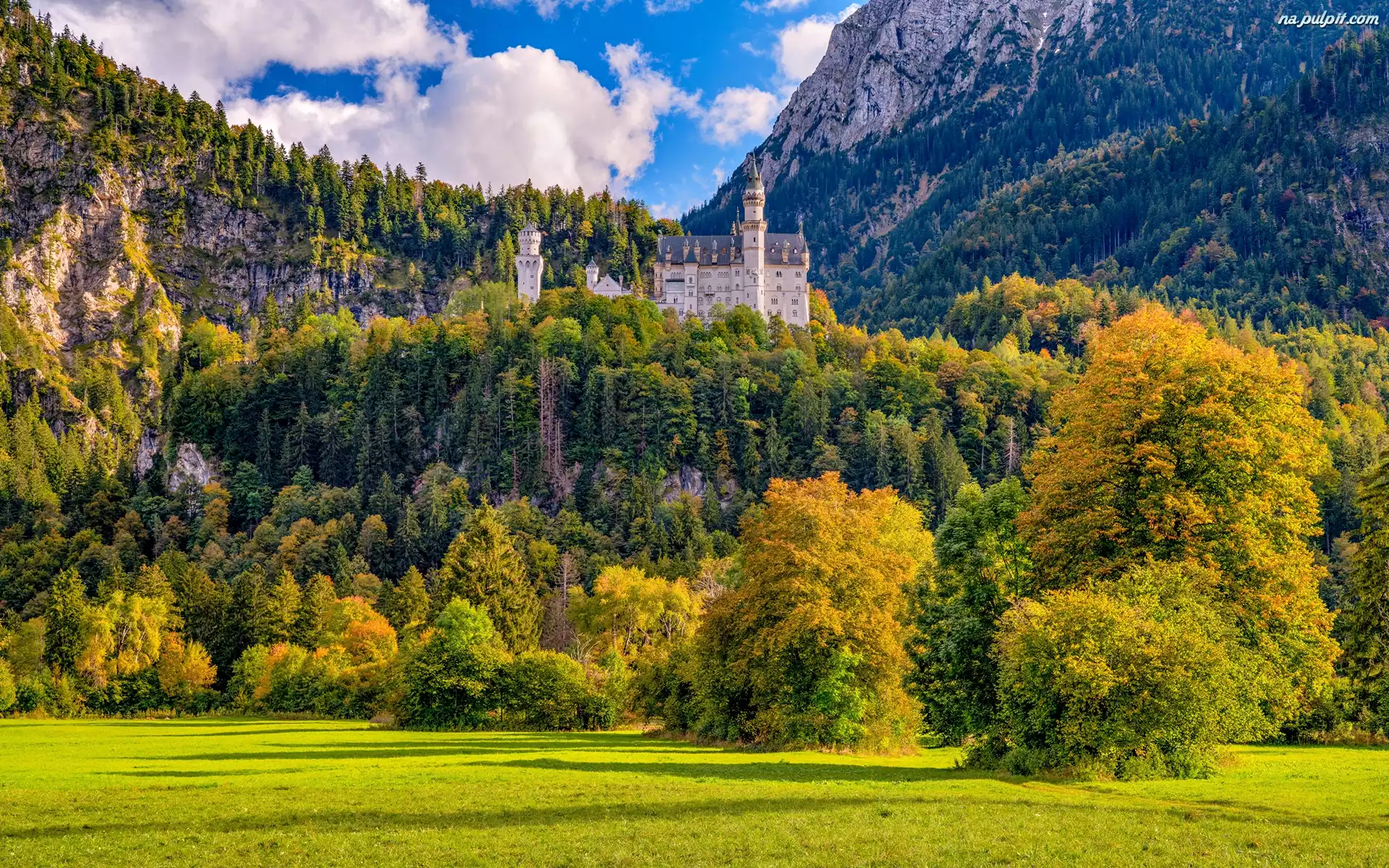 Niemcy, Drzewa, Skały, Zamek Neuschwanstein, Jesień, Góry, Bawaria