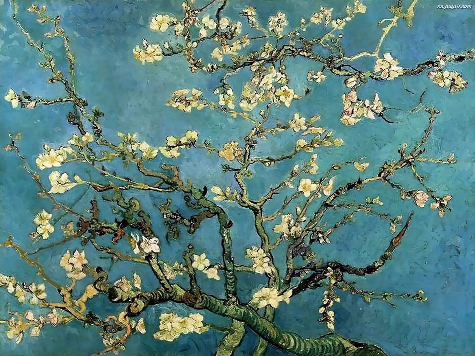 Bloom, Branches, Almond, Vincent Van Gogh, In