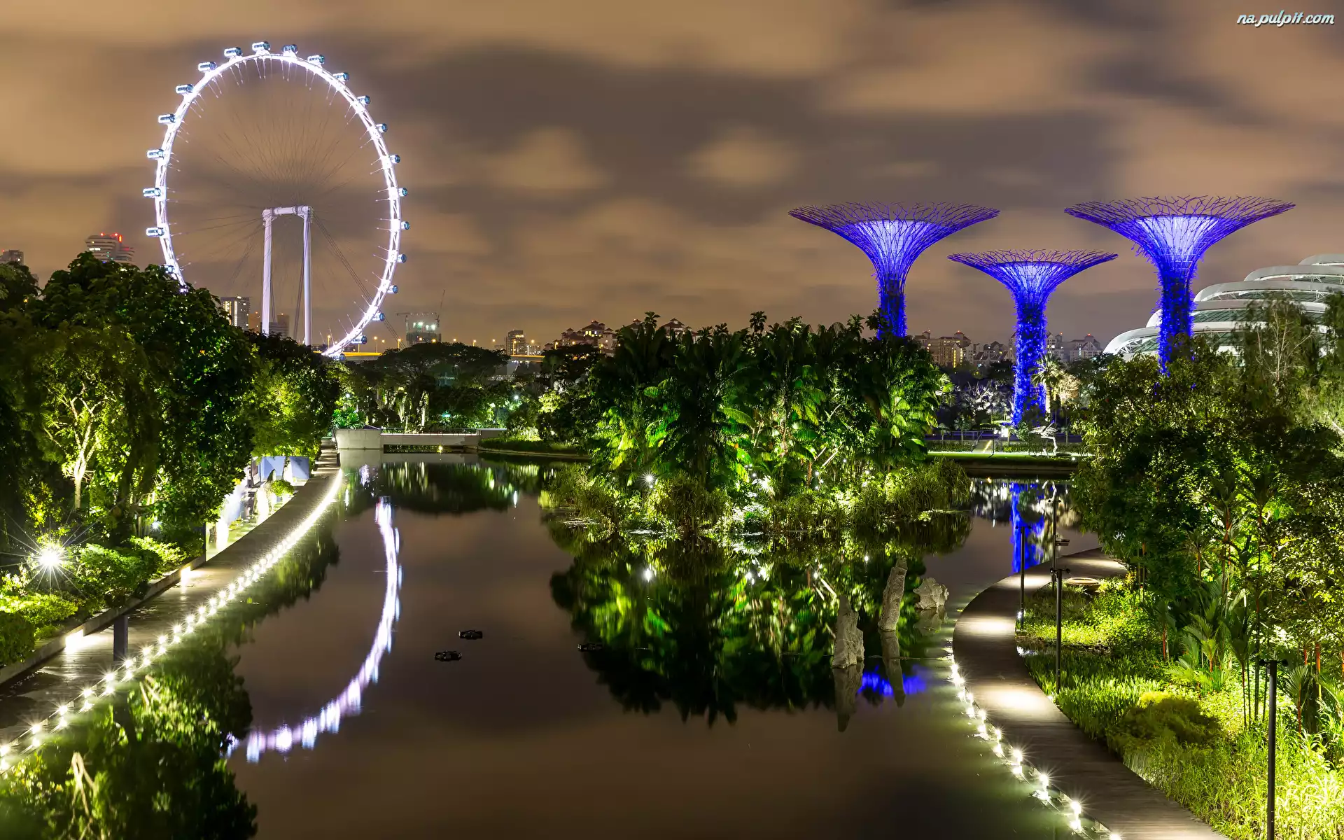 Staw, Ogród, Gardens by the Bay, Singapur