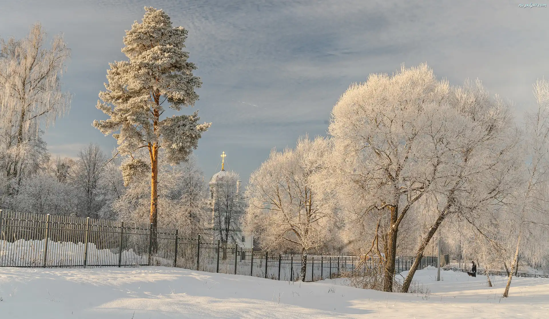 Zima, Drzewa, Ogrodzenie, Cerkiew