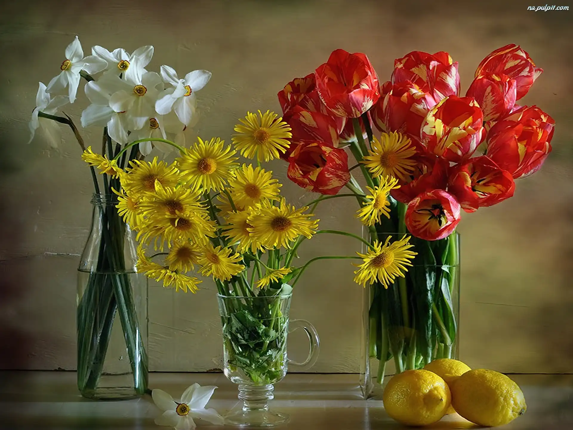 Cytryny, Narcyzy, Tulipanów, Bukiet, Margerytek