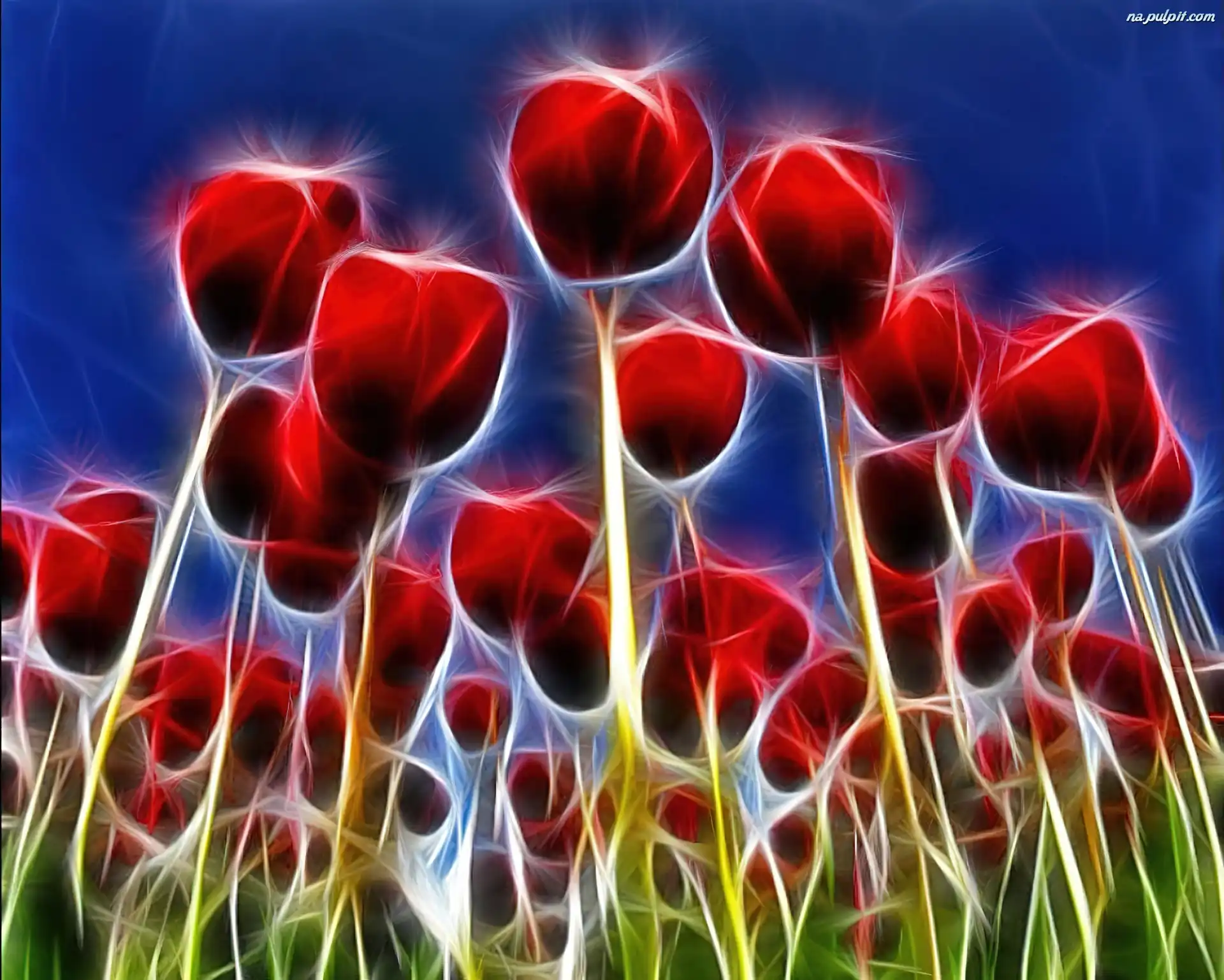 3D, Czerwone, Tulipany