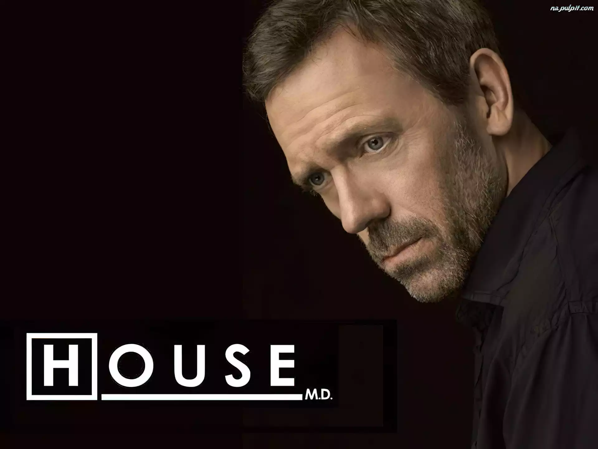 Dr. House, Hugh Laurie