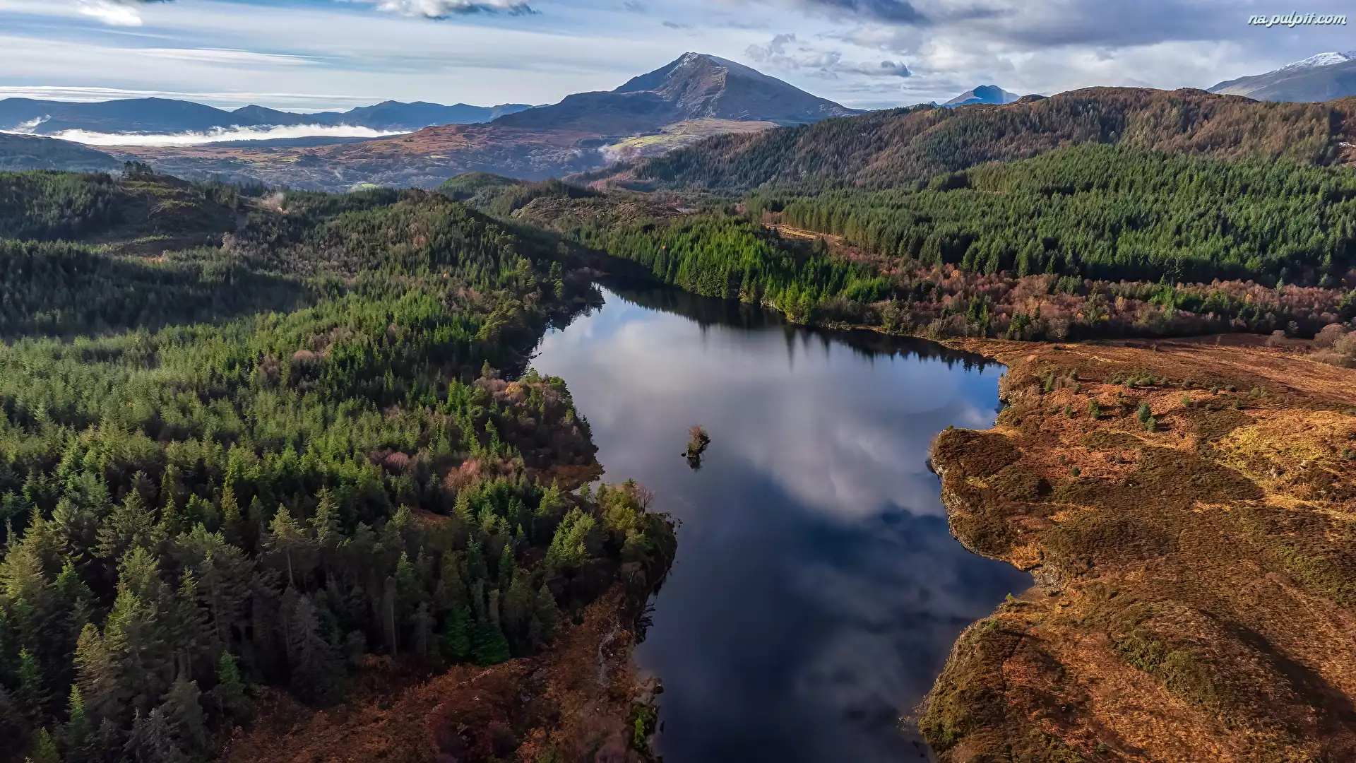 Llyn Bodgynydd, Góry, Lasy, Wielka Brytania, Z lotu ptaka, Drzewa, Walia, Jezioro