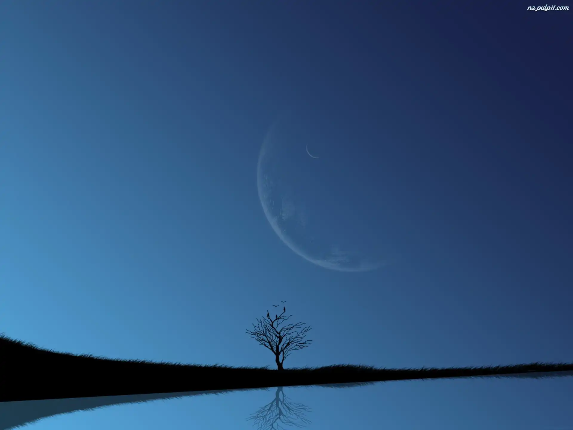 Drzewo, Niebo, Woda, Księżyc