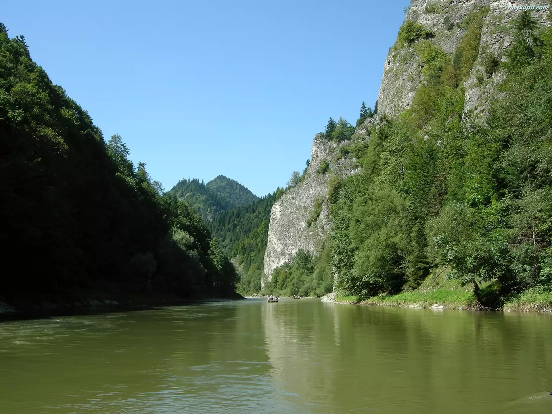 Drzewa, Dunajec, Góry