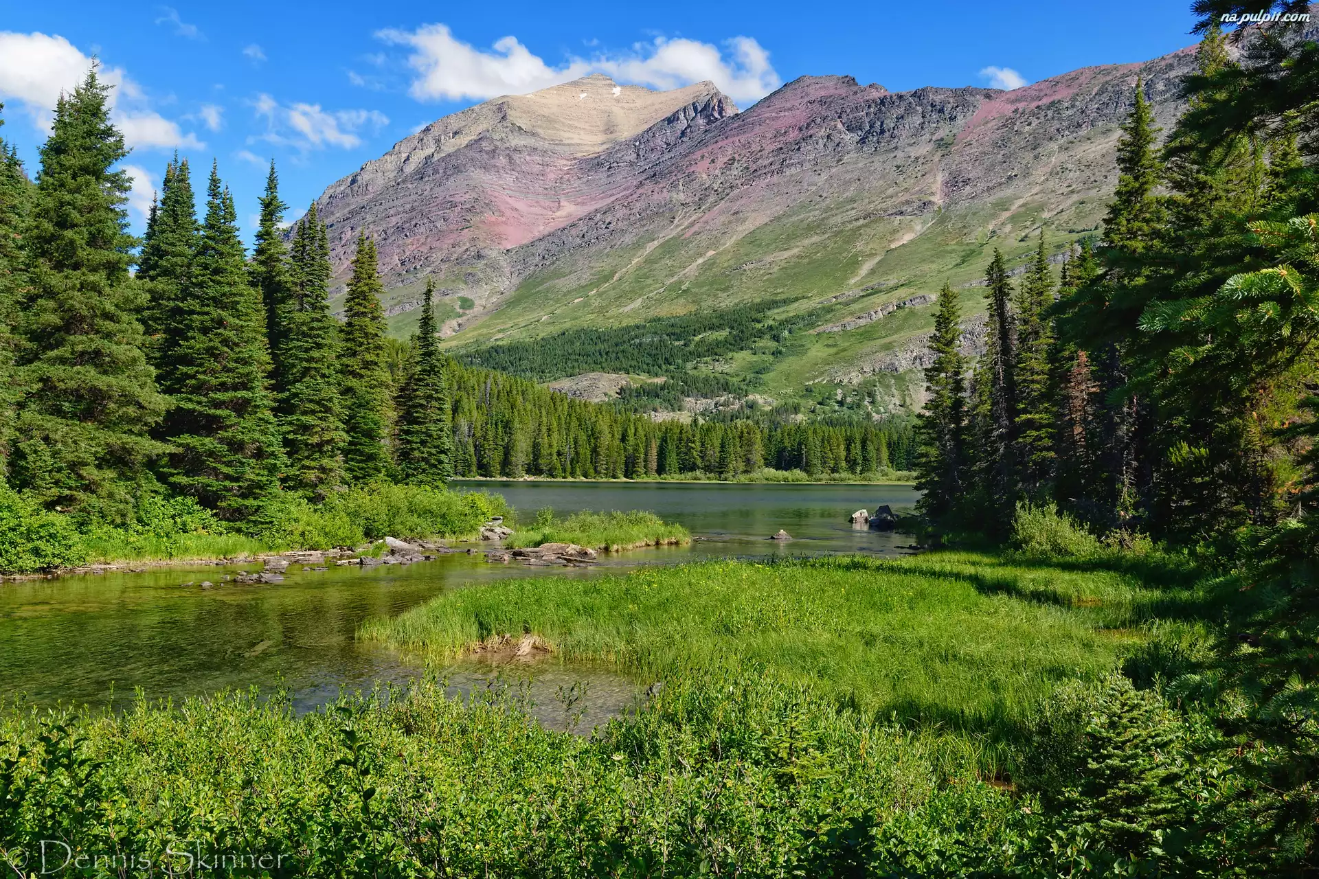 Jezioro, Park Narodowy Glacier, Swiftcurrent Lake, Stany Zjednoczone, Trawa, Drzewa, Montana, Góry Skaliste